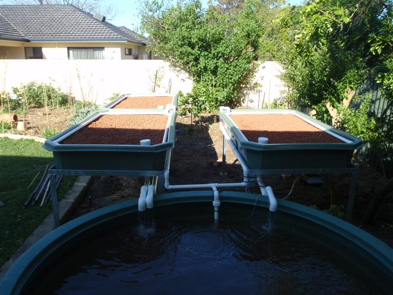 P9220515 (Medium).JPG