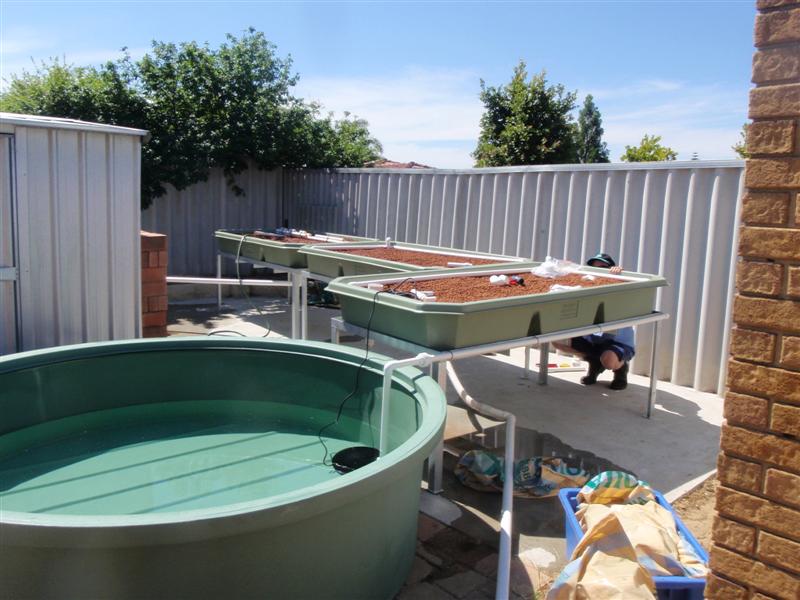 PA180337 (Medium).JPG