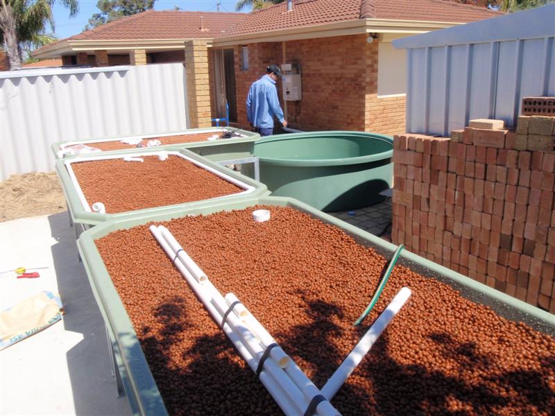 PA180338 (Medium).JPG