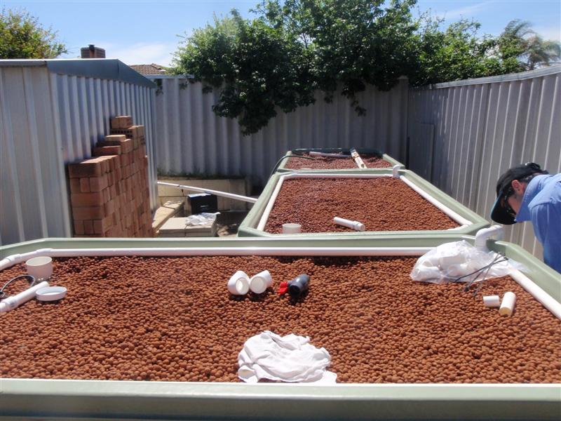 PA180340 (Medium).JPG