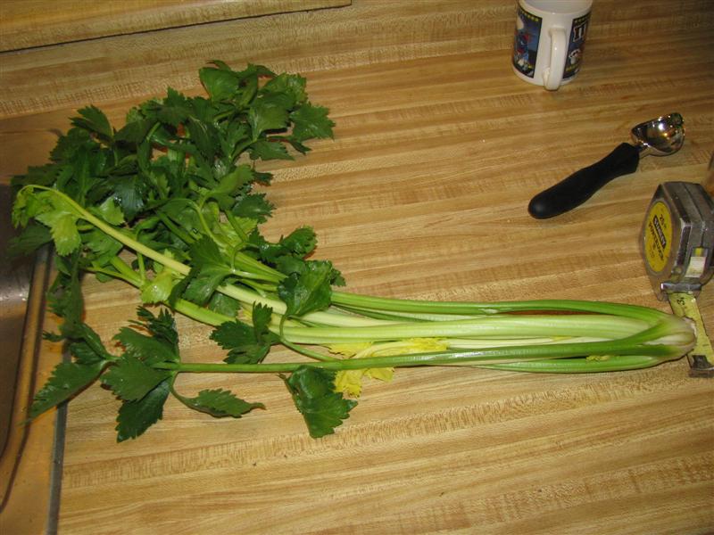 IMG_4868 (Medium).JPG