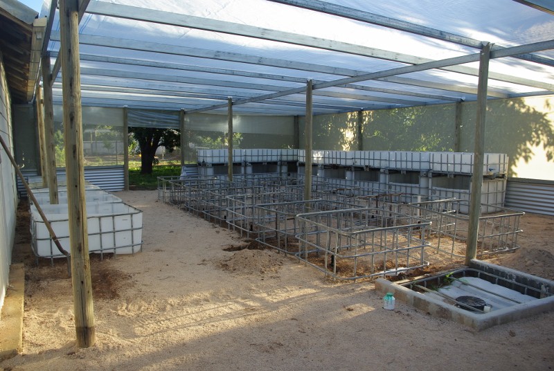 _IGP1893 (800x536).jpg