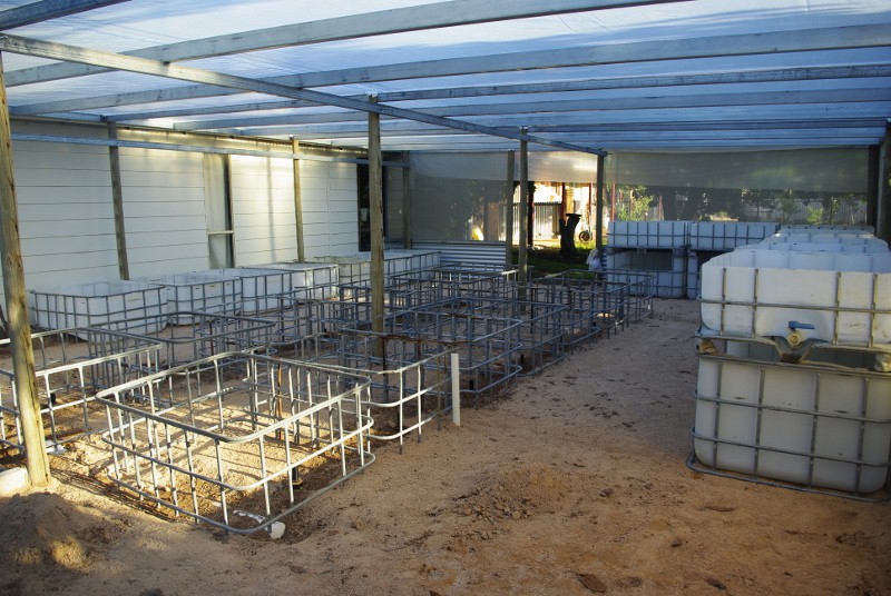 _IGP1895 (800x536).jpg