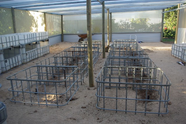 _IGP1909 (640x428).jpg