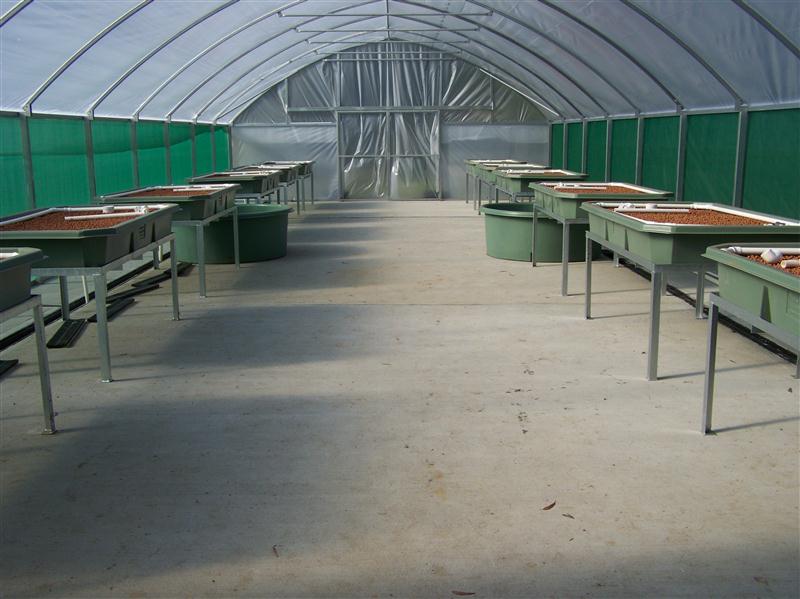 100_5611 (Custom).JPG