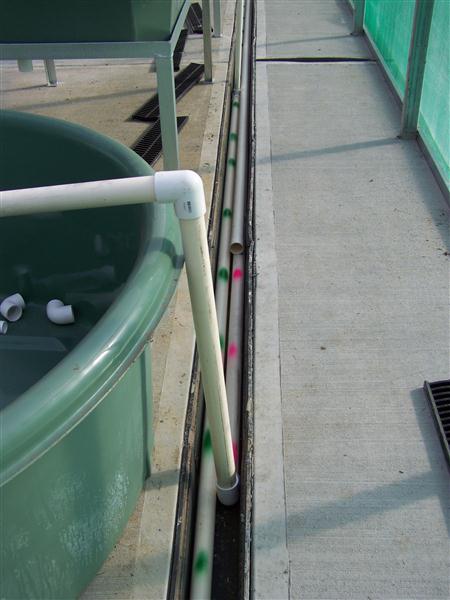 100_5613 (Custom).JPG