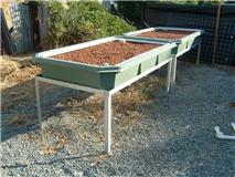 Complete BYAP growbeds.jpg