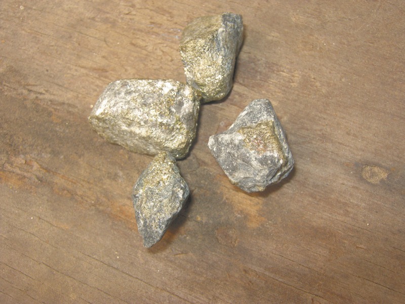 Aquaponics - fools gold.JPG