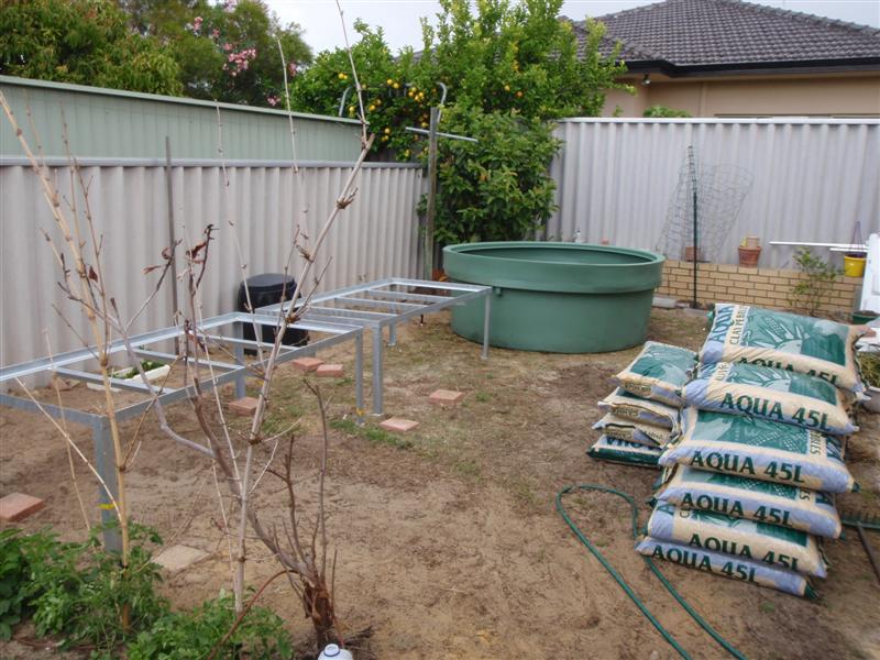 PB250012 (Medium).JPG