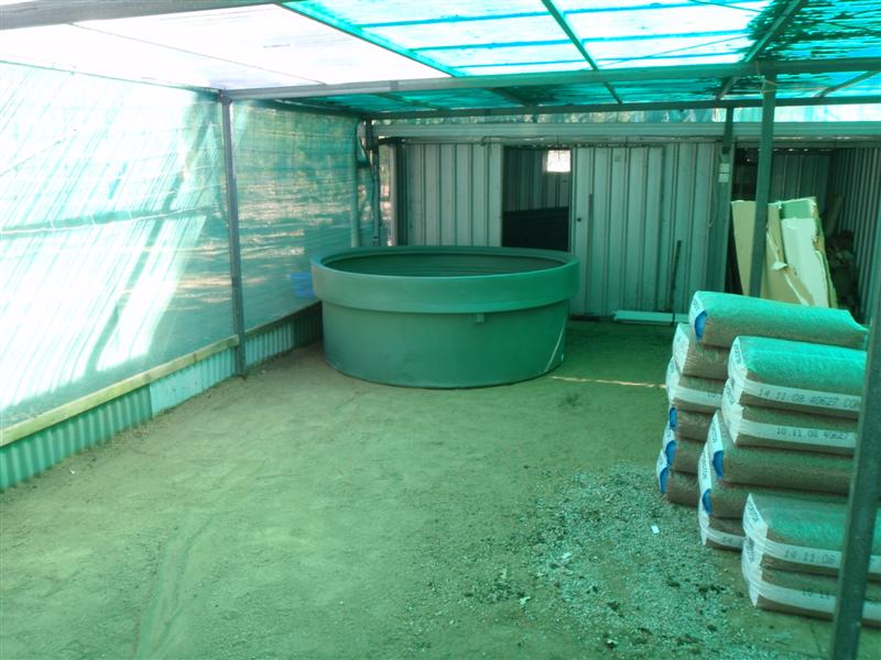 P4300049 (Medium).JPG