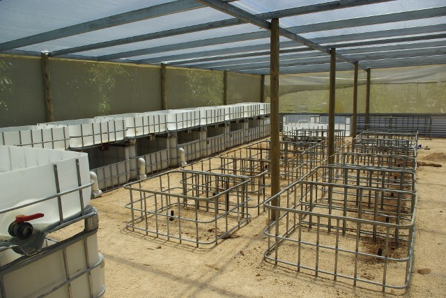 _IGP1929 (640x428).jpg