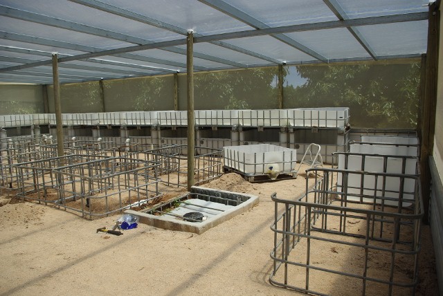 _IGP1930 (640x428).jpg