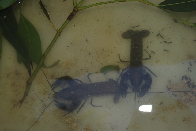 _IGP1934 (640x428).jpg