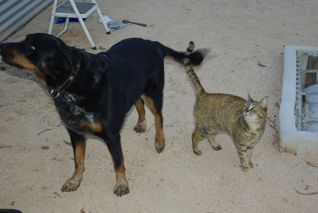 _IGP1899 (640x428).jpg