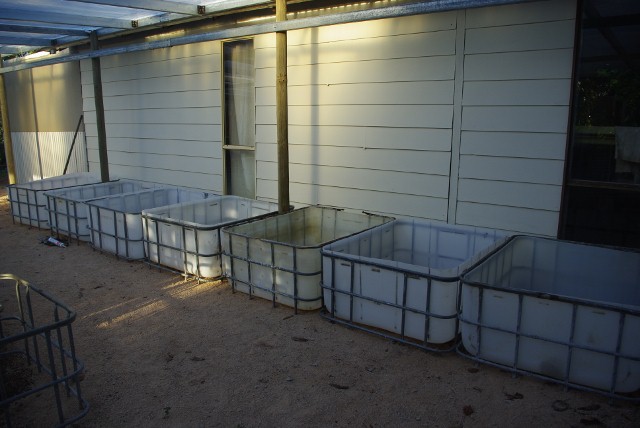 _IGP1911 (640x428).jpg