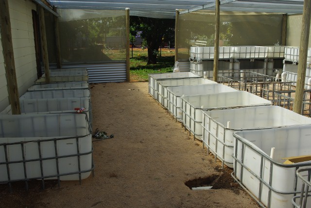 _IGP1937 (640x428).jpg