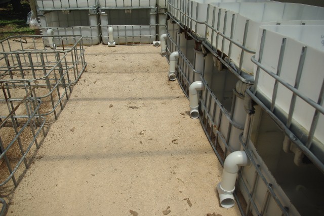 _IGP1920 (640x428).jpg