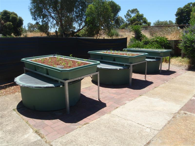 PB250596 (Medium).JPG