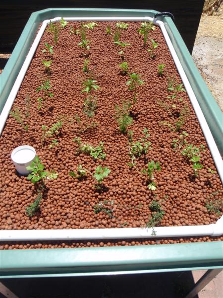 PB250598 (Medium).JPG