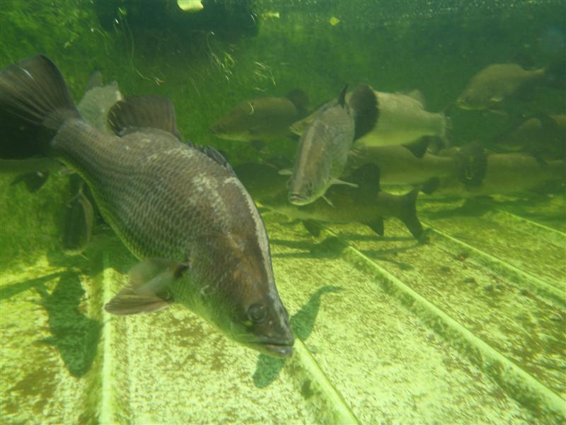 PB250605 (Medium).JPG