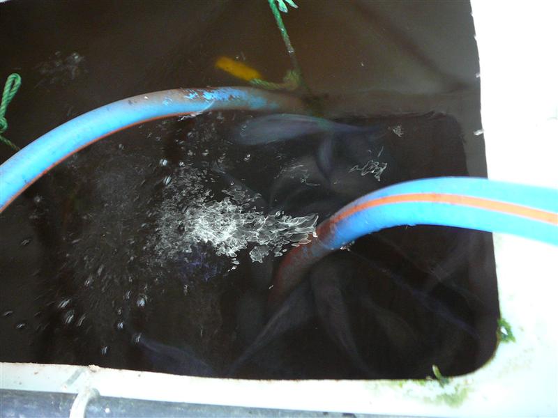 P1040484 (Custom).JPG