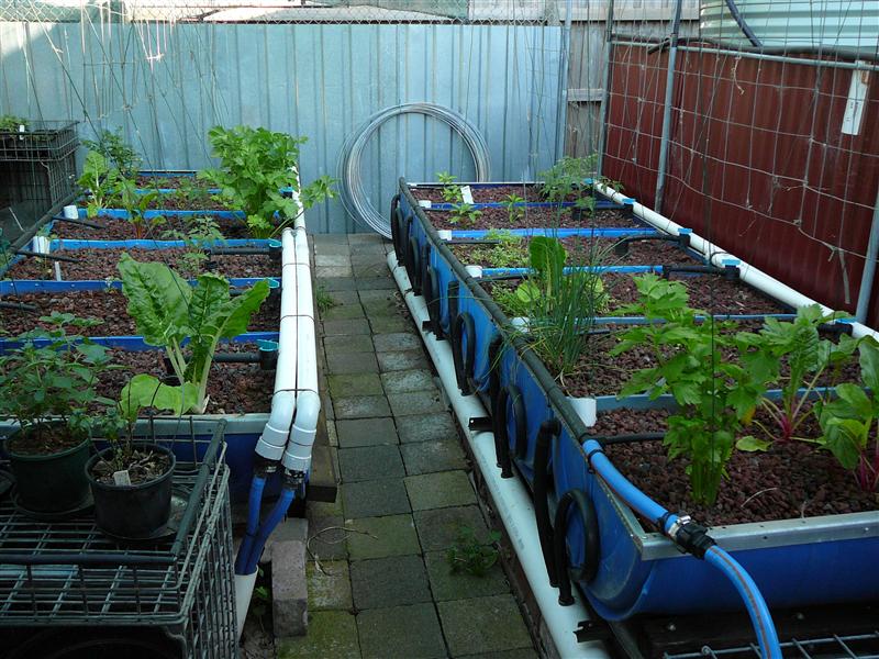 P1040487 (Custom).JPG