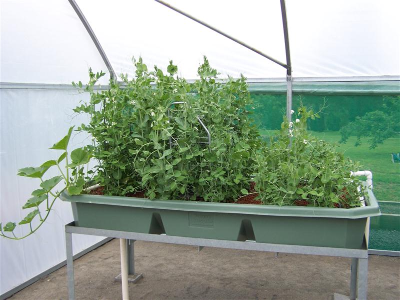 100_5614 (Custom).JPG