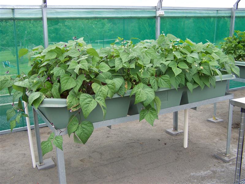 100_5615 (Custom).JPG