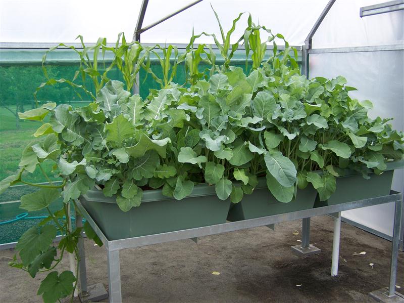 100_5617 (Custom).JPG