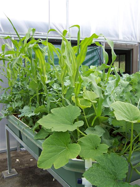 100_5619 (Custom).JPG