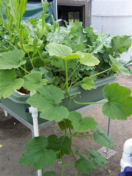 100_5620 (Custom).JPG