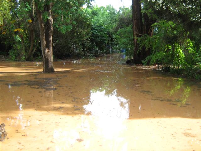 Heavy Rain November 2010 017 (Small).jpg