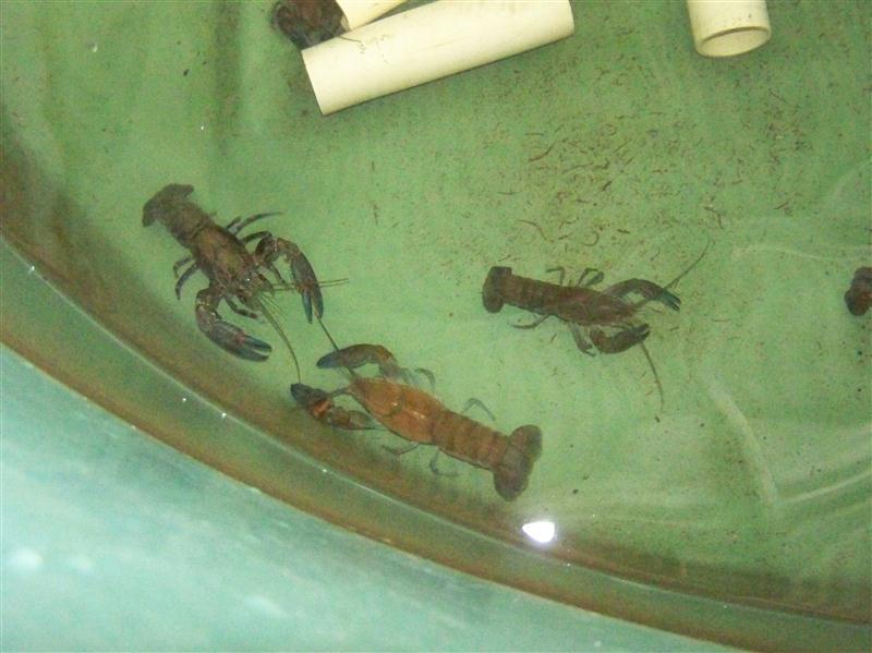 100_5634 (Custom).JPG