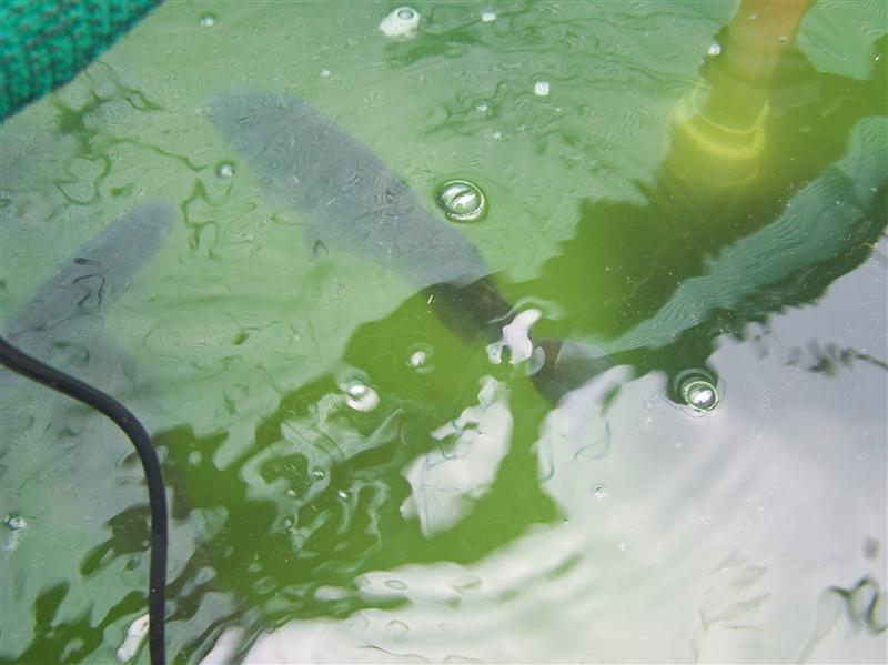 100_5631 (Custom).JPG