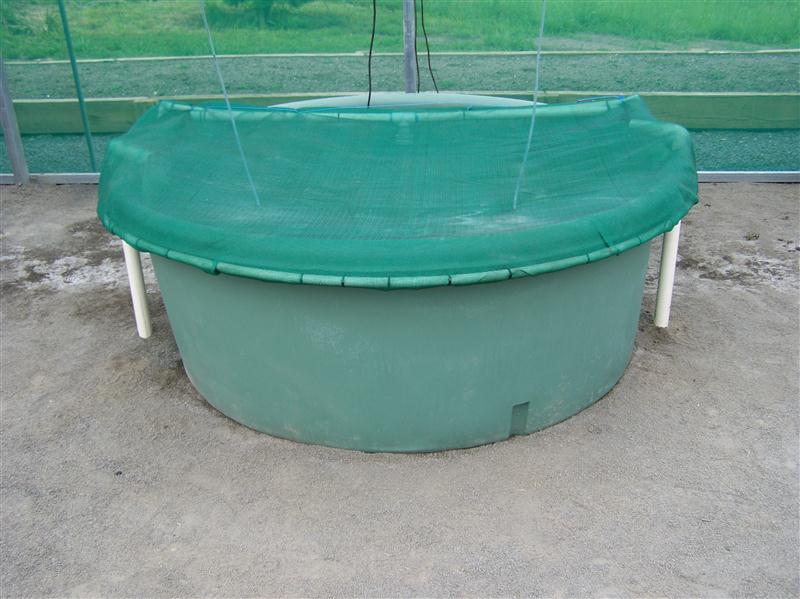 100_5625 (Custom).JPG