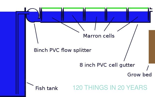 120 Things in 20 years - Aquaponics - High density marron farm side view.jpg