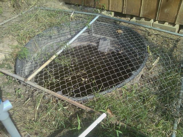Piece of fence keeps kids out, but not dirt, leaves, sticks, toys, etc.jpg