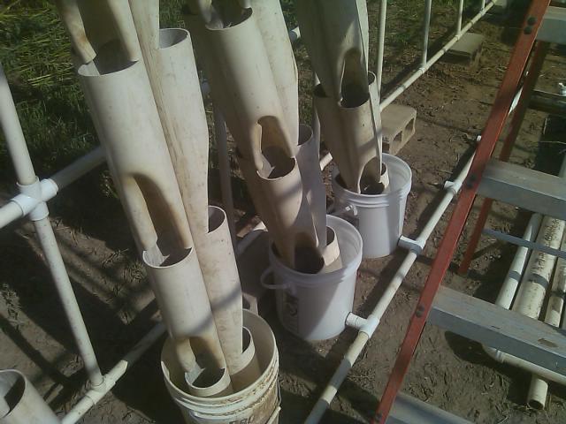 Towers assembled.jpg.jpg