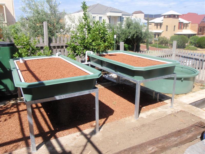 PC010016 (Medium).JPG