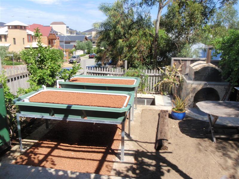 PC010015 (Medium).JPG