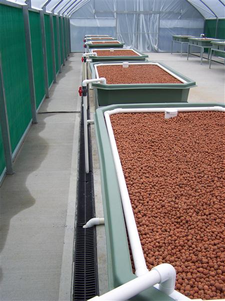 100_5637 (Custom).JPG