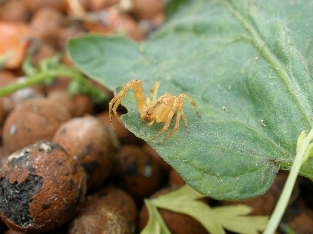 Waiting patiently.jpg