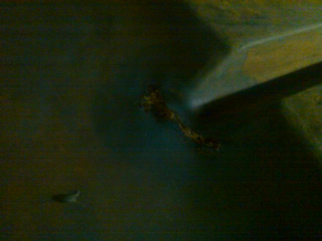 First plastic weld.jpg