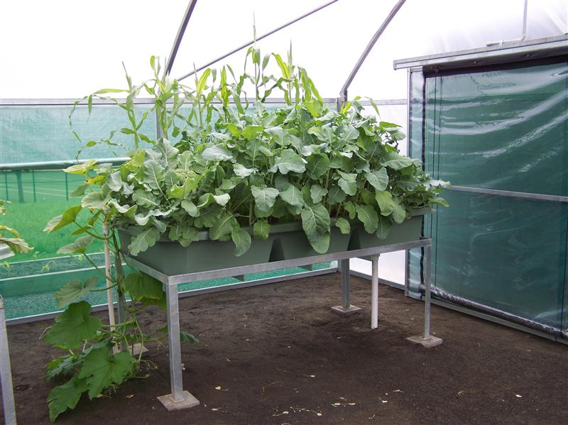 100_5648 (Custom).JPG