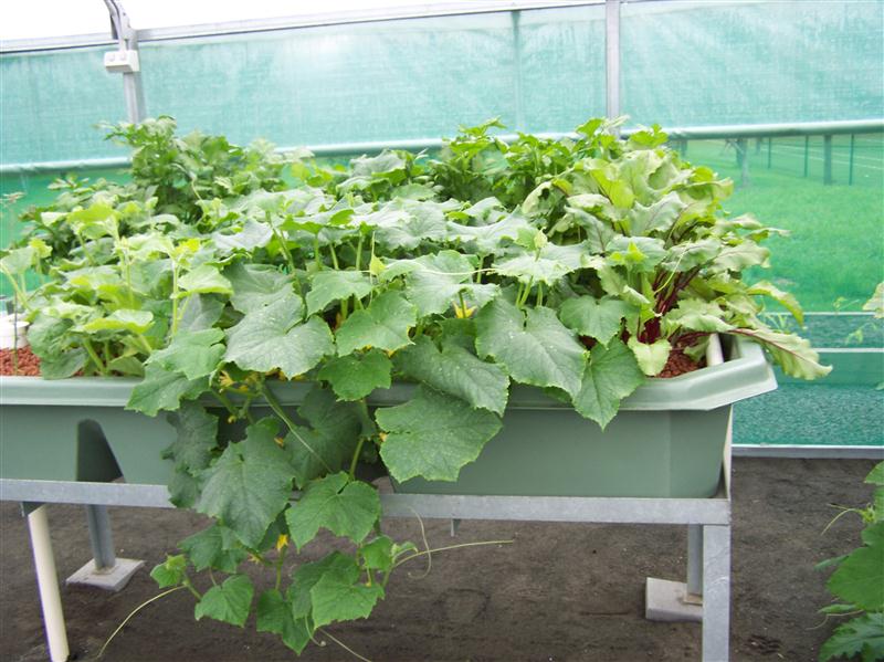 100_5652 (Custom).JPG