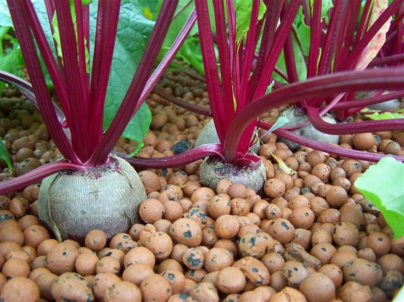 100_5651 (Custom).JPG