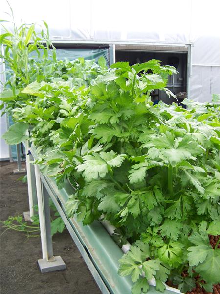 100_5653 (Custom).JPG