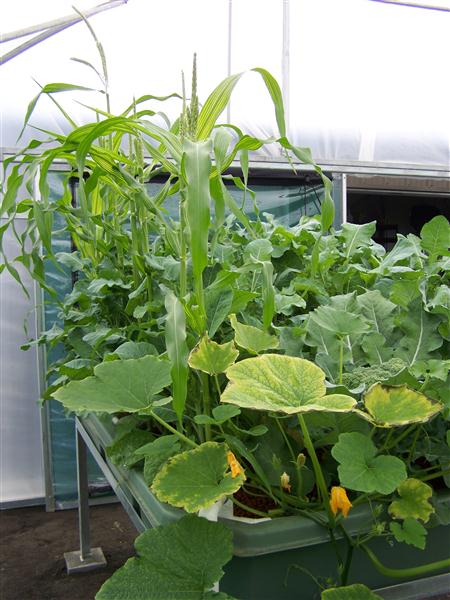 100_5654 (Custom).JPG