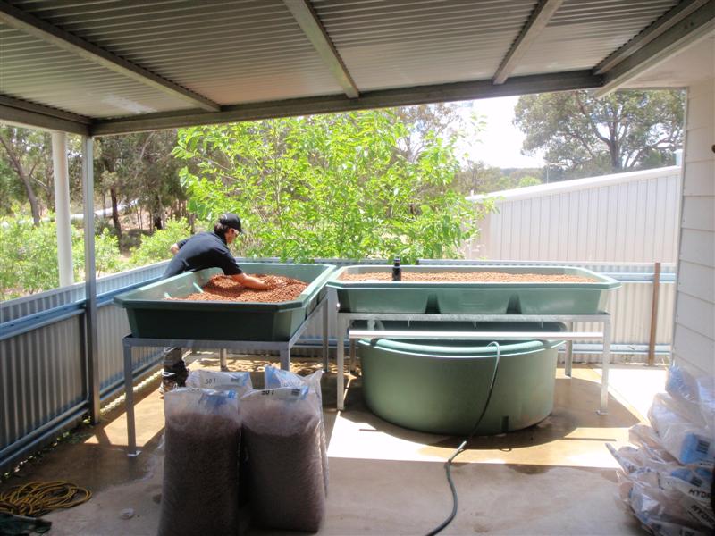 PC030010 (Medium).JPG