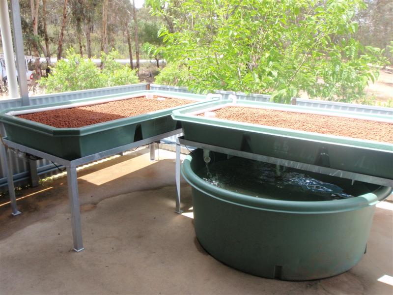 PC030013 (Medium).JPG